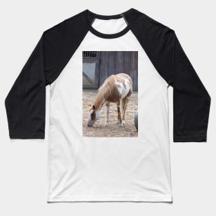 American Paint Horse Baseball T-Shirt